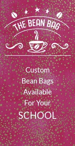 Custom Bean Bags For School